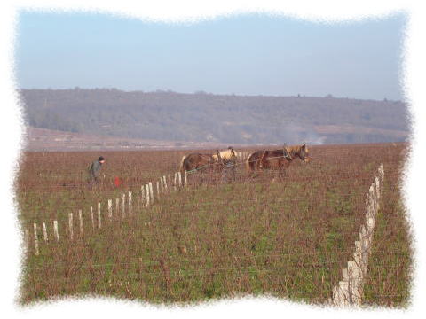 On a envie de boire la Romanee-Conti.